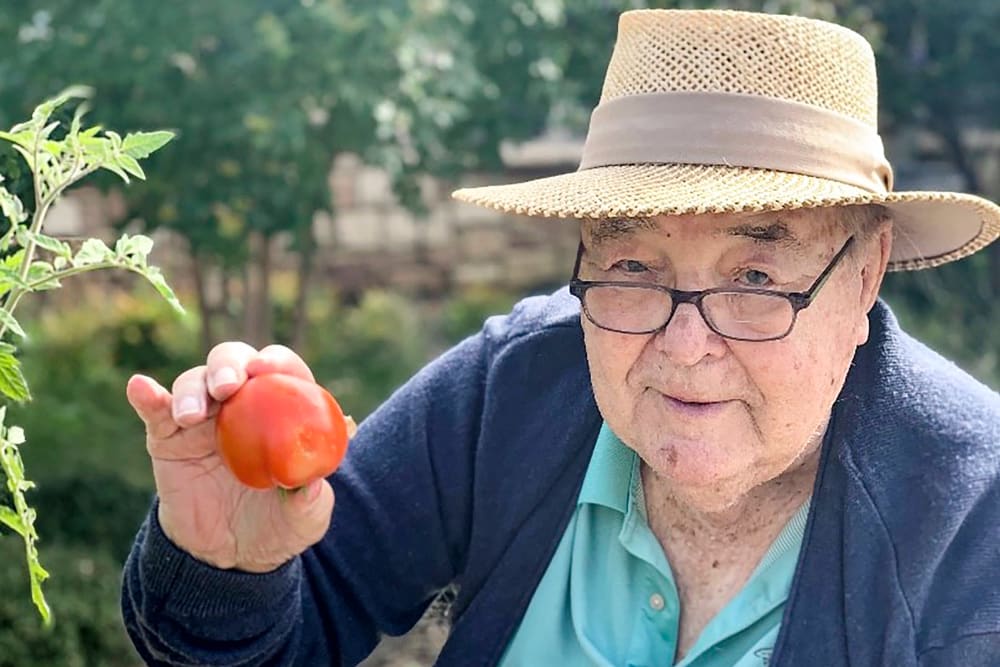 Man with fresh tomatoes at Anthology of Beaverton in Beaverton, Oregon