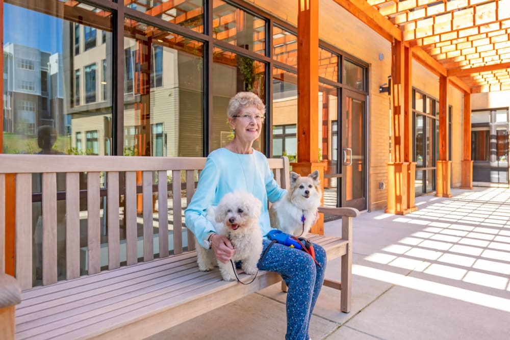 Anthology of Beaverton in Beaverton, Oregon